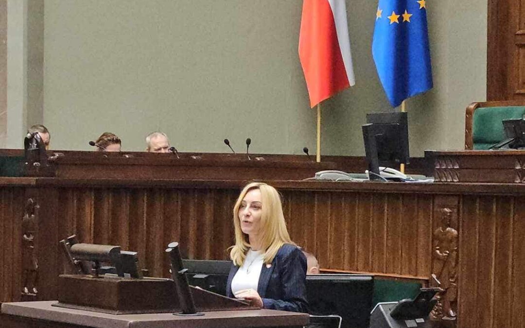 Sejmowe aktywności