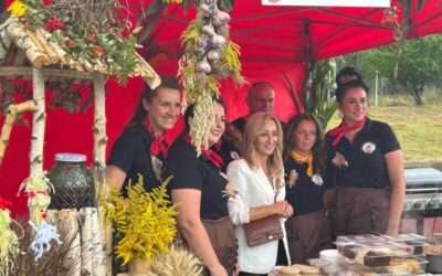 Dożynki gminne w Starych Bogaczowicach i Gminie Świdnica