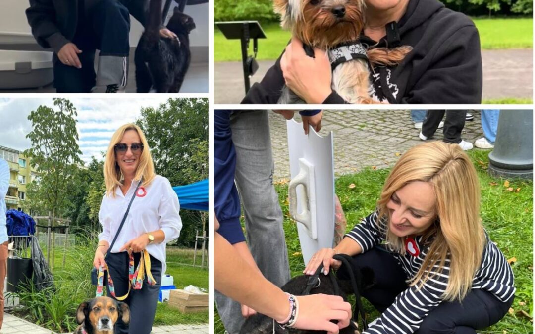 KROPiK – obowiązkowe chipowanie psów i kotów